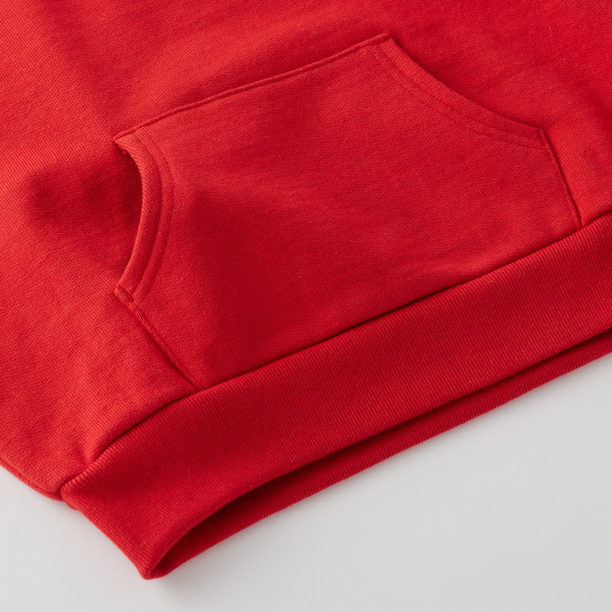 Heavy Weight P/O Sweat (COLLEGE)