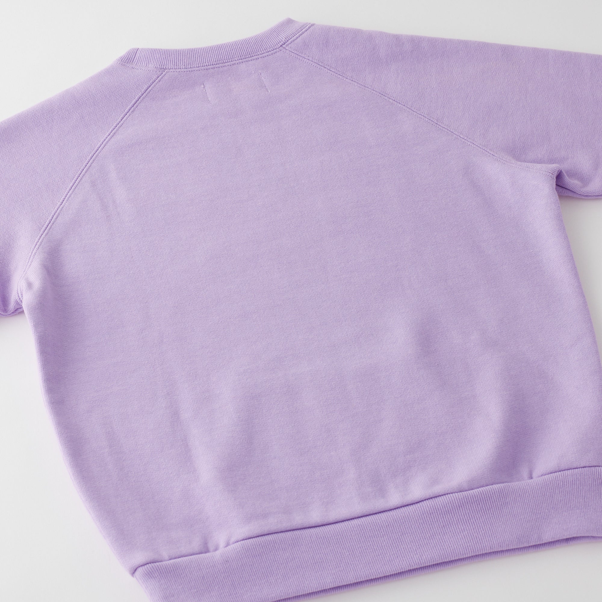 Heavy Weight P/O Sweat (LOGO)