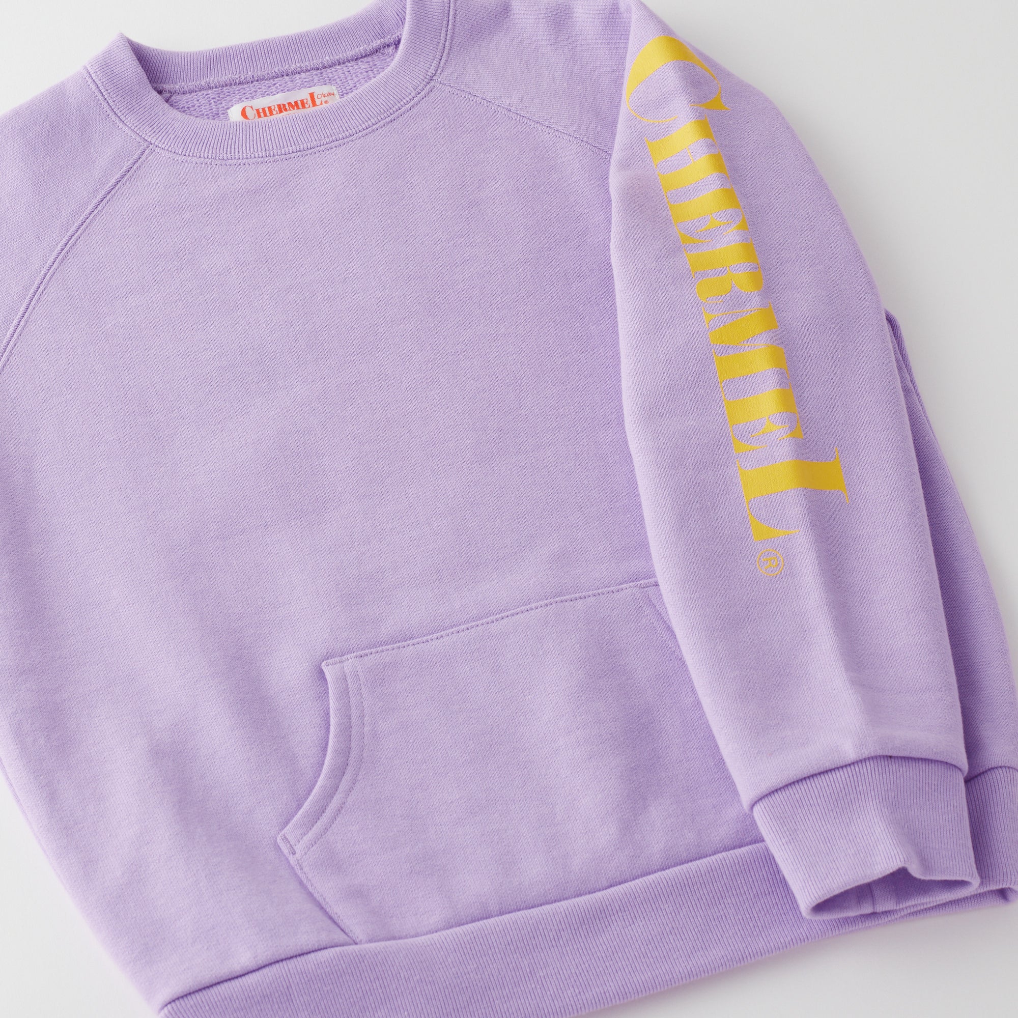 Heavy Weight P/O Sweat (LOGO)