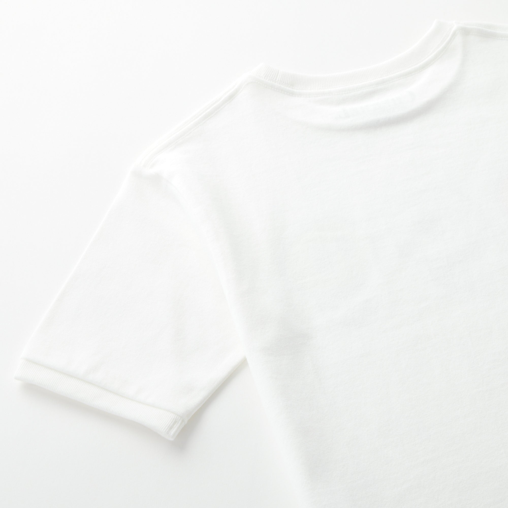 Heavy Cotton Fit Tee (SKELETON)