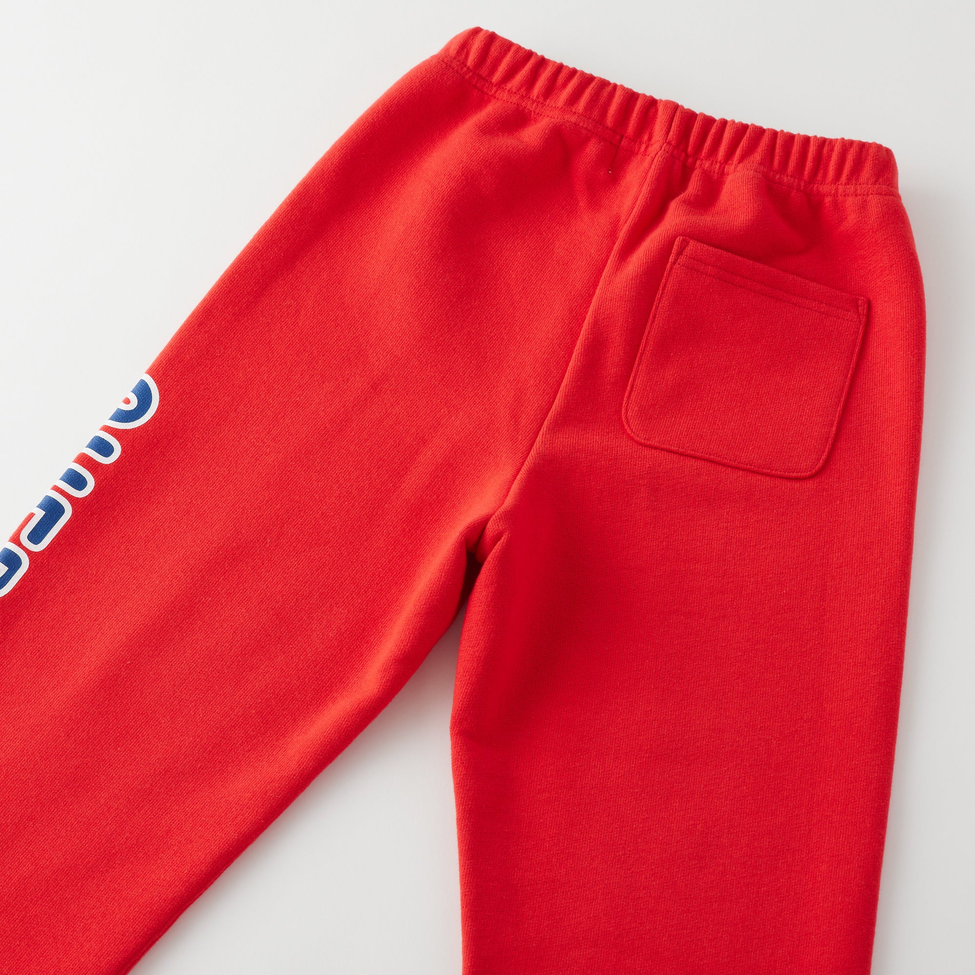 Heavy Weight Easy Pants (COLLEGE)